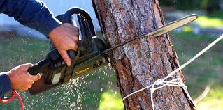 Best Soil Testing and Treatment  in Middle Island, NY
